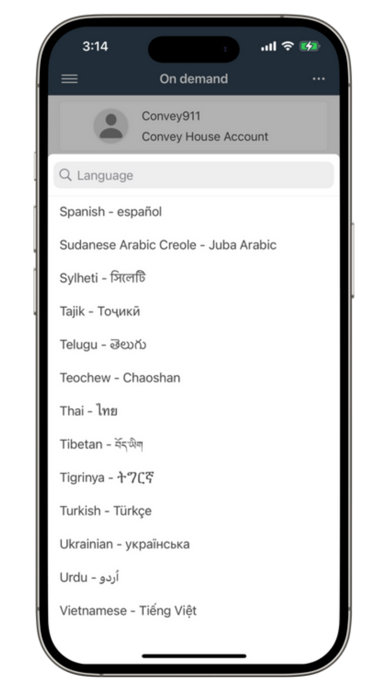 Language selection screen